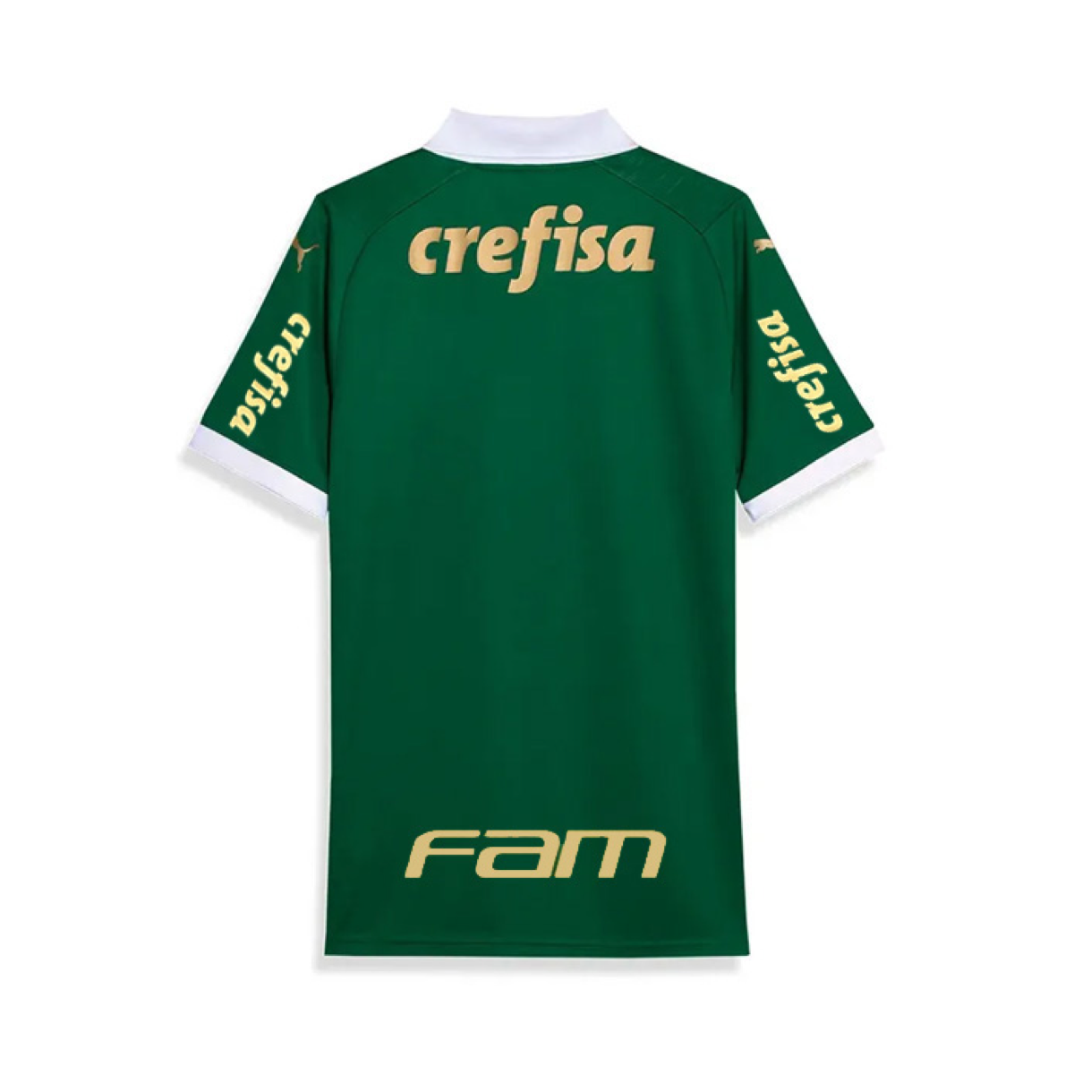 2024-25-se-palmeiras-1a-equipaci-n-8763