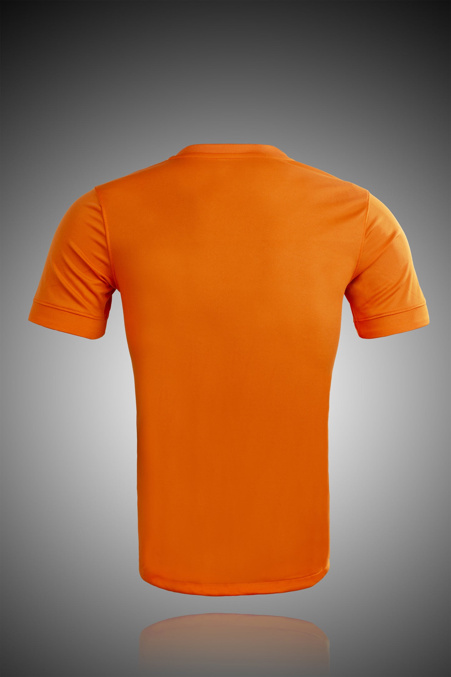 2014 Netherlands home