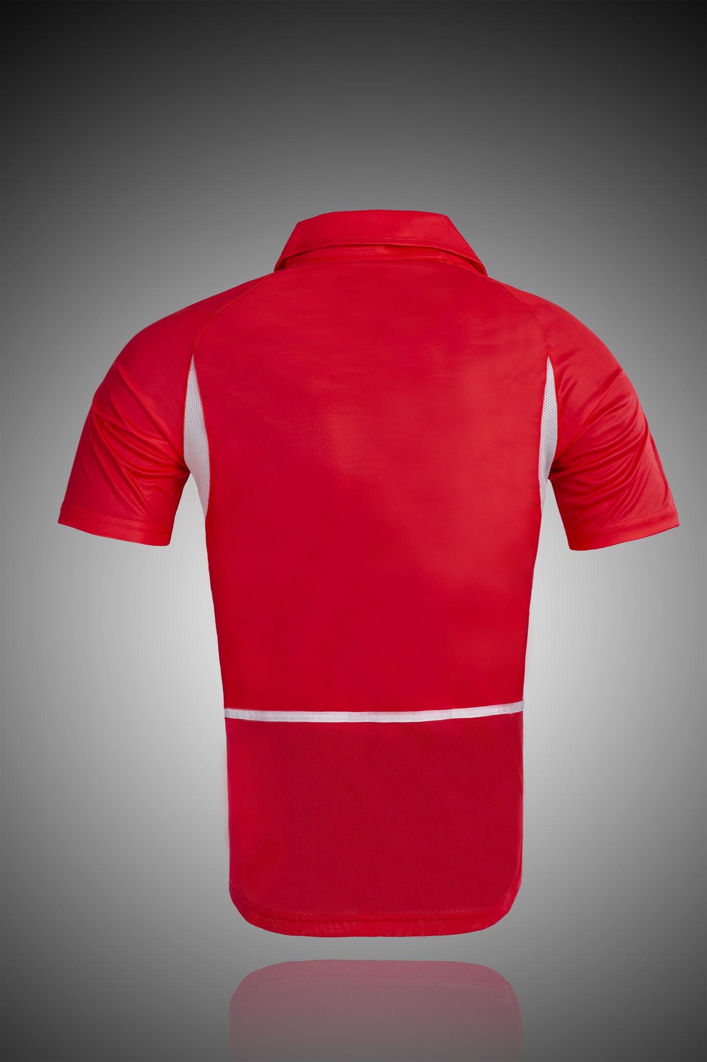 2002 South Korean Home