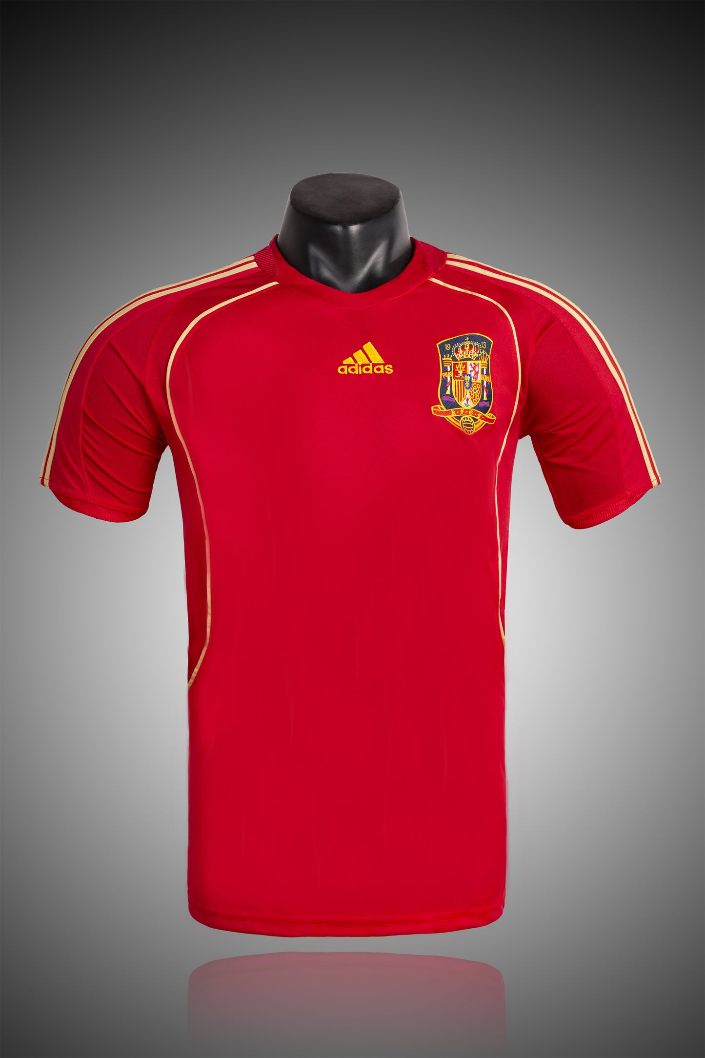 2008 Spain home