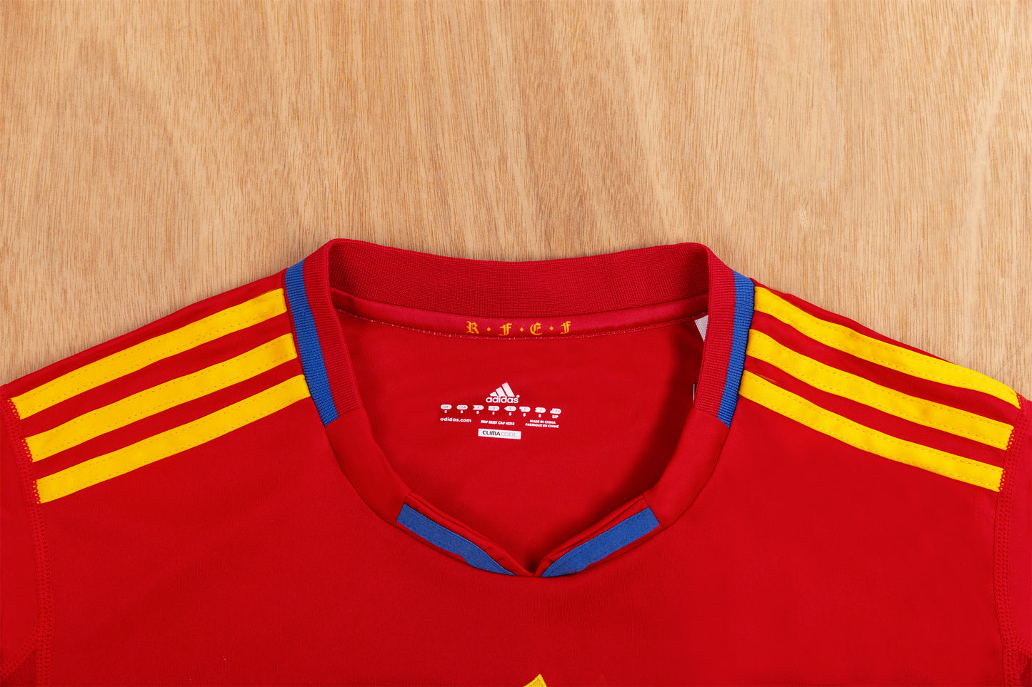 2010 Spain home