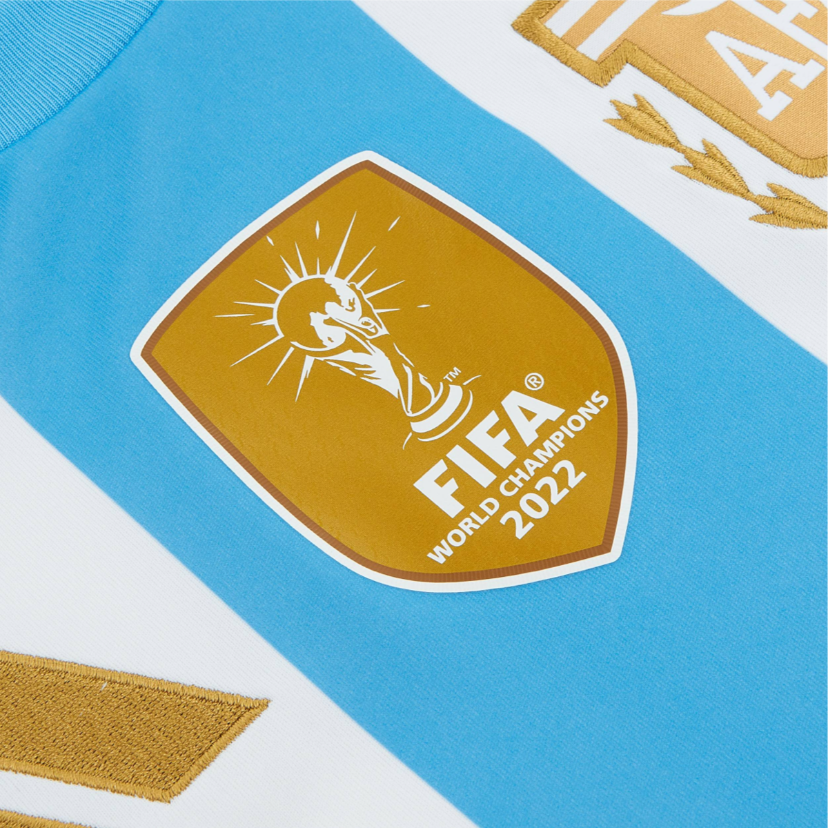 2024-argentina-1a-equipaci-n-9310