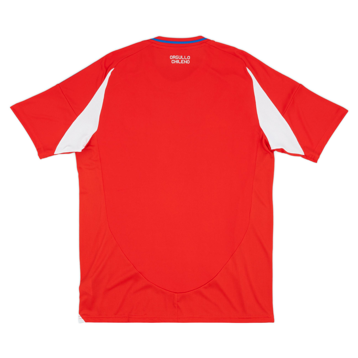 2024-chile-1a-equipaci-n-4693
