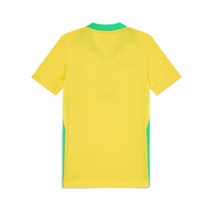 2025-brasil-1a-equipaci-n-3177