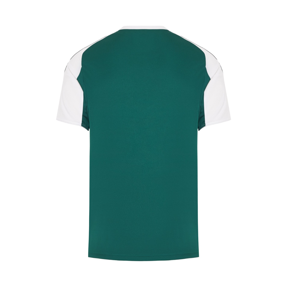 2025-26-panathinaikos-fc-equipaci-n-1a-equipaci-n-8874