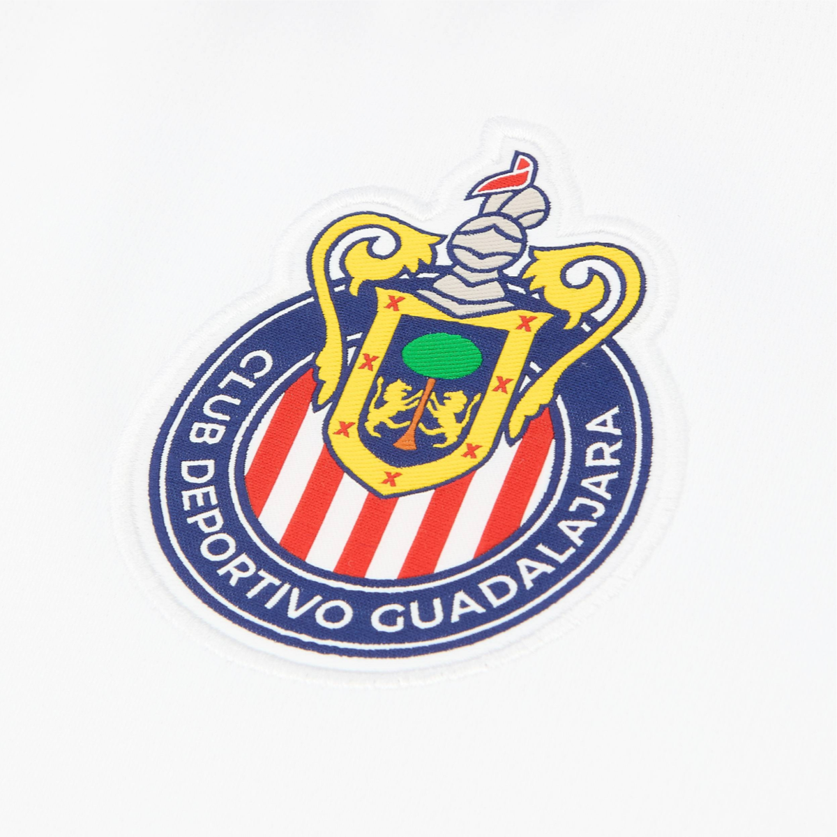 2024-25-cd-guadalajara-2a-equipaci-n-7656