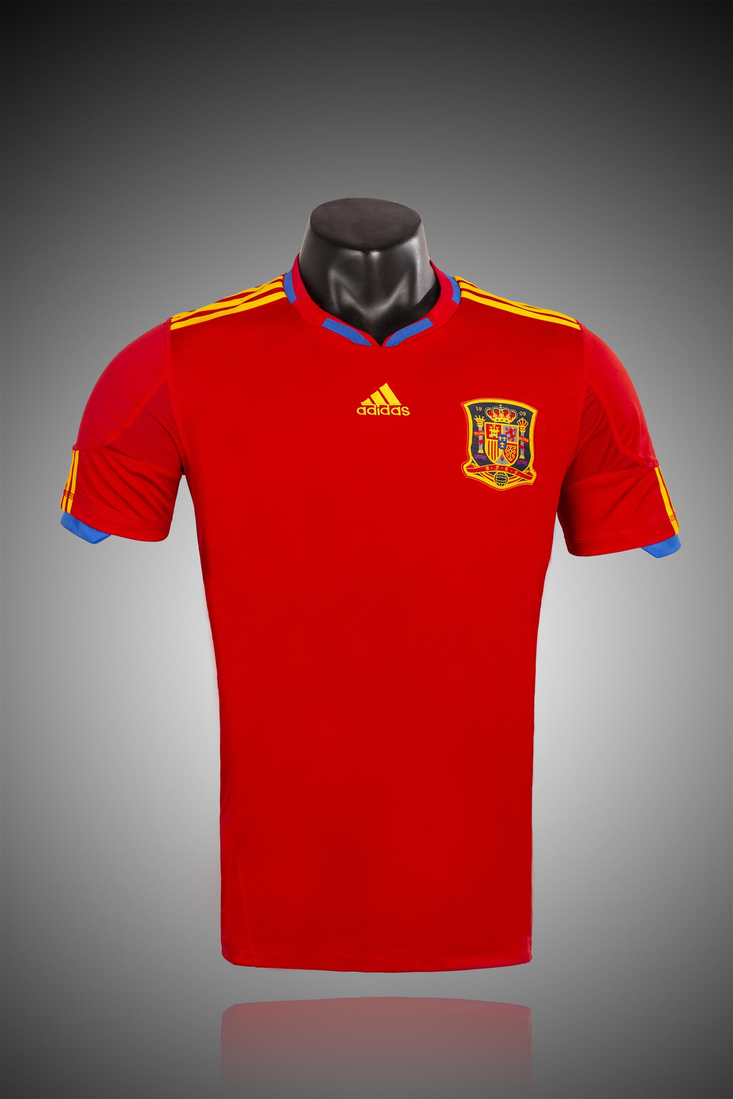 2010 Spain home