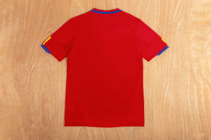 2010 Spain home