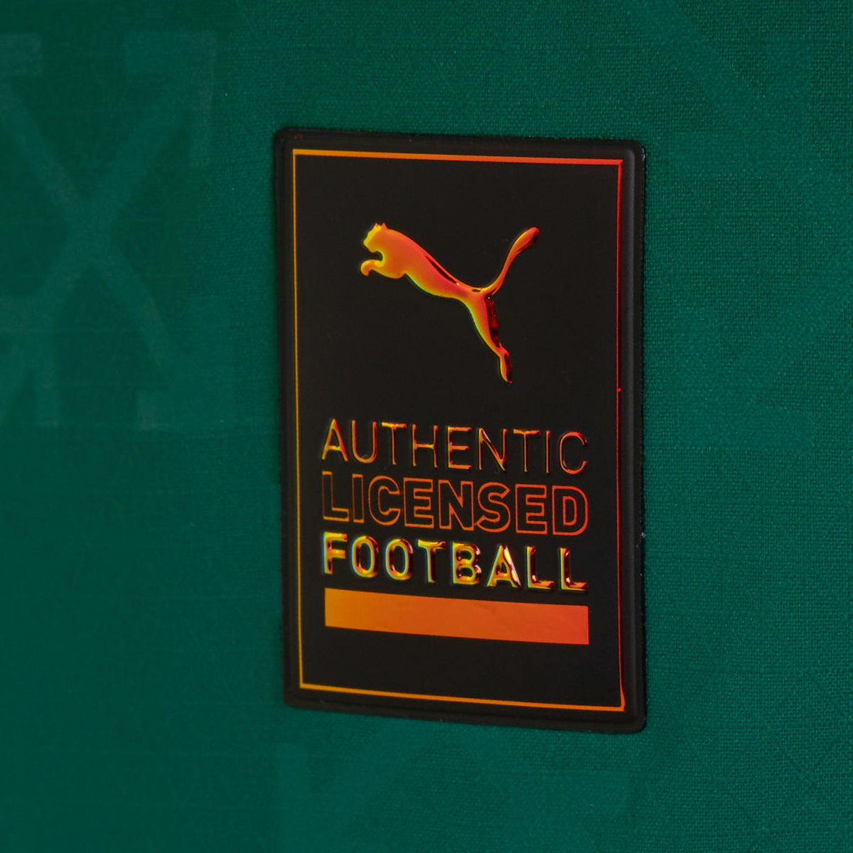 2024-25-ac-milan-equipaci-n-edici-n-especial-9041