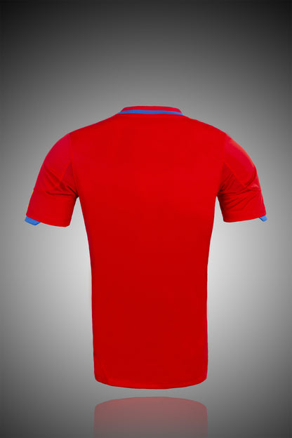 2010 Spain home