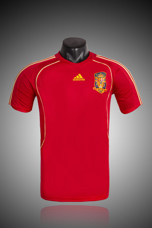 2008 Spain home