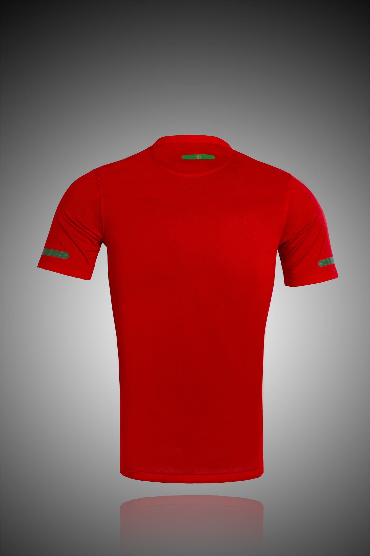 2010 Portugal home